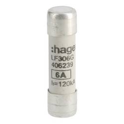 Hager LF306G LF306G trubičková pojistka (Ø x d) 10 mm x 38 mm Množství 10 ks