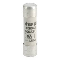 Hager LF306G LF306G trubičková pojistka (Ø x d) 10 mm x 38 mm Množství 10 ks