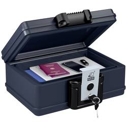 Basi 2100-0020 DB 210S trezor nehořlavé, voděodolný na klíč