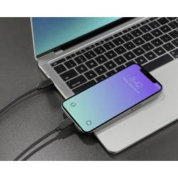 Renkforce Kabel USB-C USB 3.2 Gen2x2 USB-C ® zástrčka, USB-C ® zástrčka 0.50 m černá krytí TPE RF-5501100