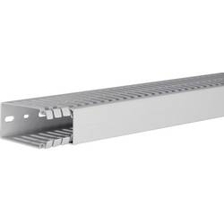 Hager HA780040 vodicí lišta (d x š x v) 2000 x 40 x 80 mm 1 ks světle šedá