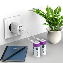 Ansmann LR15 USB-C akumulátor malé mono C Li-Ion 2500 mAh 1.5 V 2 ks
