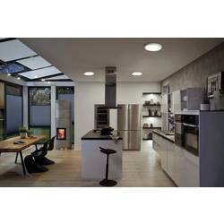 Paulmann 71021 Abia LED stropní svítidlo LED 22 W bílá