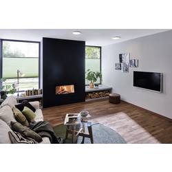 Paulmann 71021 Abia LED stropní svítidlo LED 22 W bílá