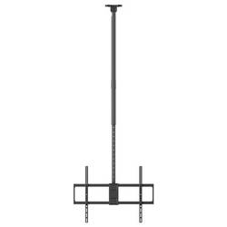 Reflecta PALLAS 100-8060T TV stropní držák 127,0 cm (50) - 254,0 cm (100) naklápěcí, nakláněcí, nastavitelná výška