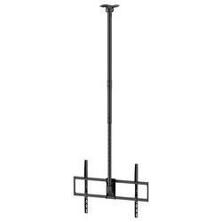 Reflecta PALLAS 100-8060T TV stropní držák 127,0 cm (50) - 254,0 cm (100) naklápěcí, nakláněcí, nastavitelná výška