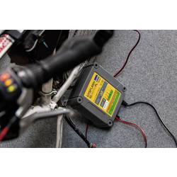GYS GYSFLASH 10.36/48 PL 027060 nabíječka autobaterie 36 V, 48 V