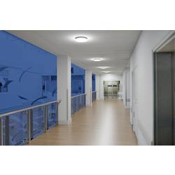 OSRAM HOMELIGHTING 4099854292552 SF FLAT RD 500 P 27W ML 83040 stropní svítidlo, LED stropní svítidlo, LED nástěnné světlo, nástěnné světlo 27 W bílá
