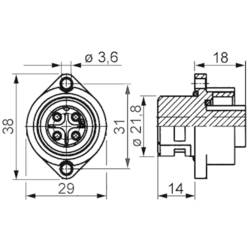 Amphenol C016 20G003 100 12 kulatý faston, 1 ks