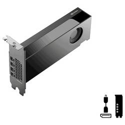 PNY grafická karta Nvidia GeForce RTX 2000 RTX PRO 2000 16 GB GDDR7 RAM mini DisplayPort
