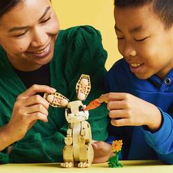 31162 LEGO® CREATOR Drcení