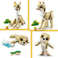 31162 LEGO® CREATOR Drcení