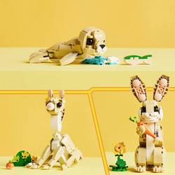 31162 LEGO® CREATOR Drcení