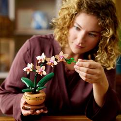 10343 LEGO® Botanicals™ Mini orchidee