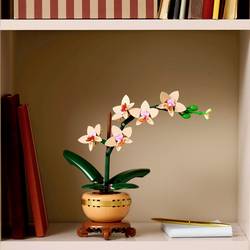 10343 LEGO® Botanicals™ Mini orchidee