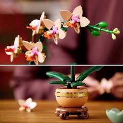 10343 LEGO® Botanicals™ Mini orchidee