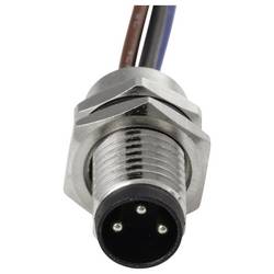 TRU COMPONENTS Přívodní kabel, TC-13751896, piny: 3, 0.2 m, 1 ks