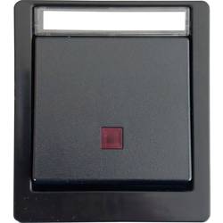 N & L 27615 Kontrolní spínač kompletní sada Na omítku černá 1 ks