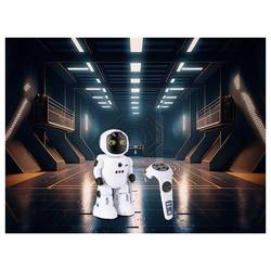 Revell Control 24704 24704 robot elektrický vč. akumulátorů a kabelu k nabíjení