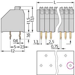 WAGO 250-409 pružinová svorkovnice 0.50 mm² Pólů 9 šedá 1 ks