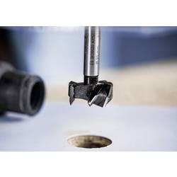 Bosch Accessories 2608901845 Forstnerův vrták, čelní fréza 15 mm 1 ks