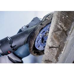 Bosch Accessories 2608901685 brusný kotouč 1 ks