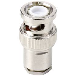 TRU COMPONENTS TC-10101496 zástrčka, rovná 50 Ω 1 ks