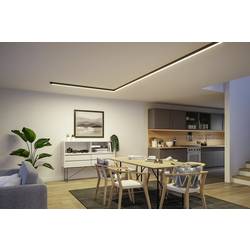 Paulmann 98167 Linion LED stropní svítidlo LED 8.5 W černá