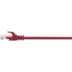 Renkforce RF-5044012 RJ45 síťové kabely, propojovací kabely CAT 5e U/UTP 3.00 m červená s ochranou 1 ks