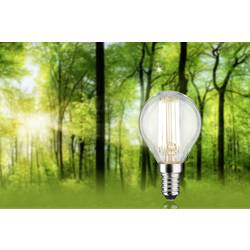 Paulmann 29202 LED Energetická třída (EEK2021) A (A - G) E14 kapkový tvar 4 W teplá bílá (Ø x v) 45 mm x 78 mm 1 ks