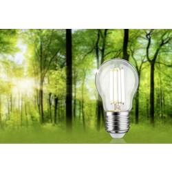 Paulmann 29214 LED Energetická třída (EEK2021) A (A - G) E27 kapkový tvar 4 W neutrální bílá (Ø x v) 45 mm x 80 mm 1 ks