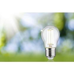 Paulmann 29214 LED Energetická třída (EEK2021) A (A - G) E27 kapkový tvar 4 W neutrální bílá (Ø x v) 45 mm x 80 mm 1 ks