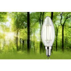 Paulmann 29203 LED Energetická třída (EEK2021) A (A - G) E14 svíčkový tvar 4 W neutrální bílá (Ø x v) 35 mm x 101 mm 1 ks