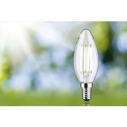 Paulmann 29203 LED Energetická třída (EEK2021) A (A - G) E14 svíčkový tvar 4 W neutrální bílá (Ø x v) 35 mm x 101 mm 1 ks