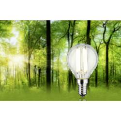 Paulmann 29204 LED Energetická třída (EEK2021) A (A - G) E14 kapkový tvar 4 W neutrální bílá (Ø x v) 45 mm x 78 mm 1 ks