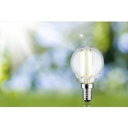 Paulmann 29204 LED Energetická třída (EEK2021) A (A - G) E14 kapkový tvar 4 W neutrální bílá (Ø x v) 45 mm x 78 mm 1 ks