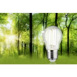 Paulmann 29213 LED Energetická třída (EEK2021) A (A - G) E27 kapkový tvar 2.5 W neutrální bílá (Ø x v) 45 mm x 80 mm 1 ks