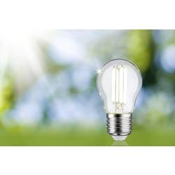 Paulmann 29213 LED Energetická třída (EEK2021) A (A - G) E27 kapkový tvar 2.5 W neutrální bílá (Ø x v) 45 mm x 80 mm 1 ks