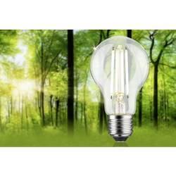Paulmann 29254 LED Energetická třída (EEK2021) B (A - G) E27 klasická žárovka 4.3 W neutrální bílá (Ø x v) 60 mm x 105 mm 1 ks