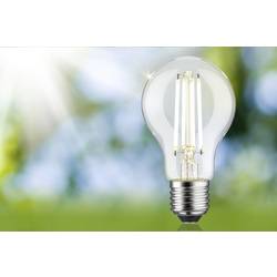 Paulmann 29254 LED Energetická třída (EEK2021) B (A - G) E27 klasická žárovka 4.3 W neutrální bílá (Ø x v) 60 mm x 105 mm 1 ks