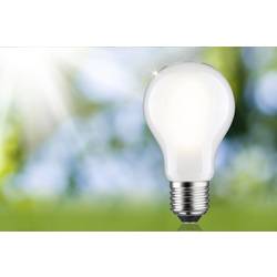 Paulmann 29258 LED Energetická třída (EEK2021) B (A - G) E27 klasická žárovka 8.2 W teplá bílá (Ø x v) 60 mm x 105 mm 1 ks