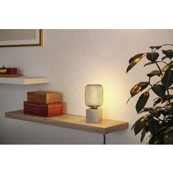 Paulmann 29260 LED E27 válcový tvar 4 W jantar (Ø x v) 100 mm x 162 mm 1 ks