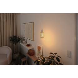 Paulmann 29260 LED E27 válcový tvar 4 W jantar (Ø x v) 100 mm x 162 mm 1 ks