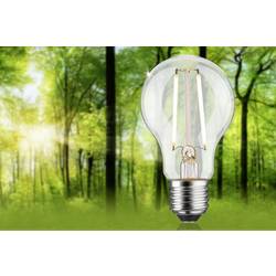 Paulmann 29250 LED Energetická třída (EEK2021) B (A - G) E27 klasická žárovka 2.5 W teplá bílá (Ø x v) 60 mm x 105 mm 1 ks