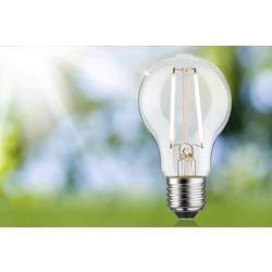 Paulmann 29250 LED Energetická třída (EEK2021) B (A - G) E27 klasická žárovka 2.5 W teplá bílá (Ø x v) 60 mm x 105 mm 1 ks