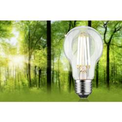 Paulmann 29251 LED Energetická třída (EEK2021) B (A - G) E27 klasická žárovka 4.3 W teplá bílá (Ø x v) 60 mm x 105 mm 1 ks