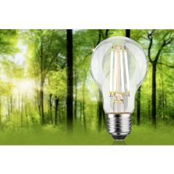 Paulmann 29252 LED Energetická třída (EEK2021) B (A - G) E27 klasická žárovka 5.7 W teplá bílá (Ø x v) 60 mm x 105 mm 1 ks
