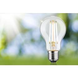 Paulmann 29253 LED Energetická třída (EEK2021) B (A - G) E27 klasická žárovka 8.2 W teplá bílá (Ø x v) 60 mm x 105 mm 1 ks
