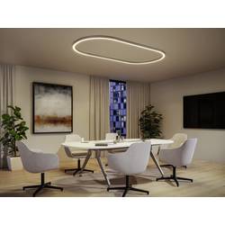 Paulmann 98177 Linion LED stropní svítidlo LED 6.5 W chrom (matný)