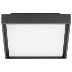 EVN DAQ54141502 DAQ54141502 LED stropní svítidlo 14 W antracitová